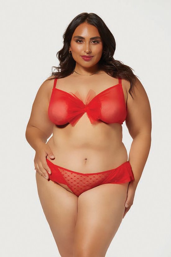 Plus Size Fire Love 2 piece Mesh lingerie set - Red – Curvy Sense