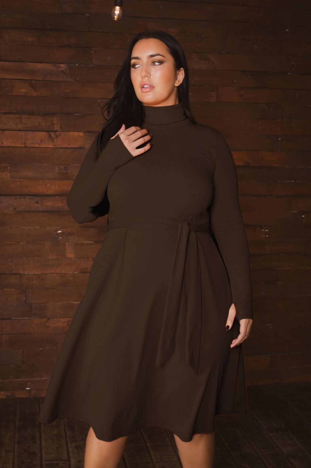Plus Size Audrey Turtleneck Knit Dress - Brown 1X / Brown at Curvy Sense Plus Size Audrey Turtleneck Knit Dress - Brown 1X / Brown at Curvy Sense