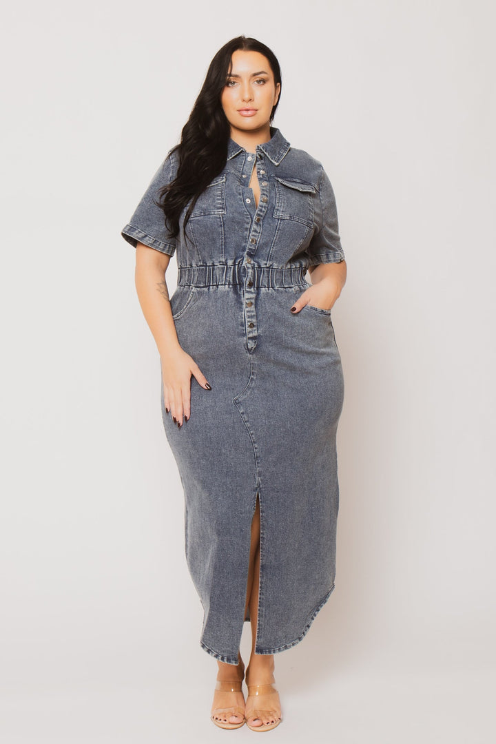 Blue Leopard Dresses Plus Size  Denim Charm Dress - Dark Wash