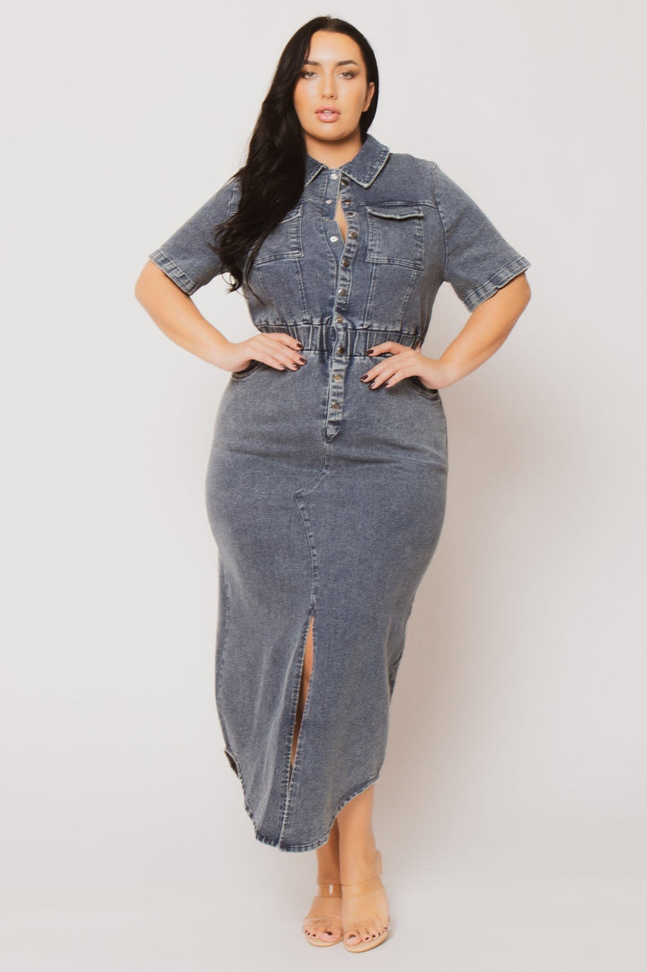 Blue Leopard Dresses Plus Size  Denim Charm Dress - Dark Wash