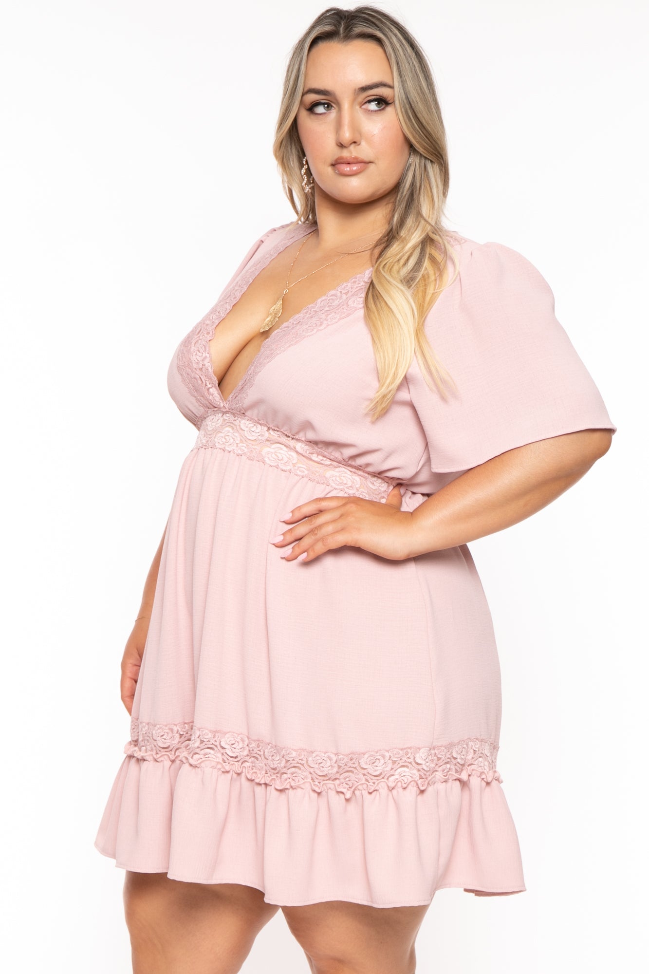 Plus Size Seri Woven Flare Dress - Mauve