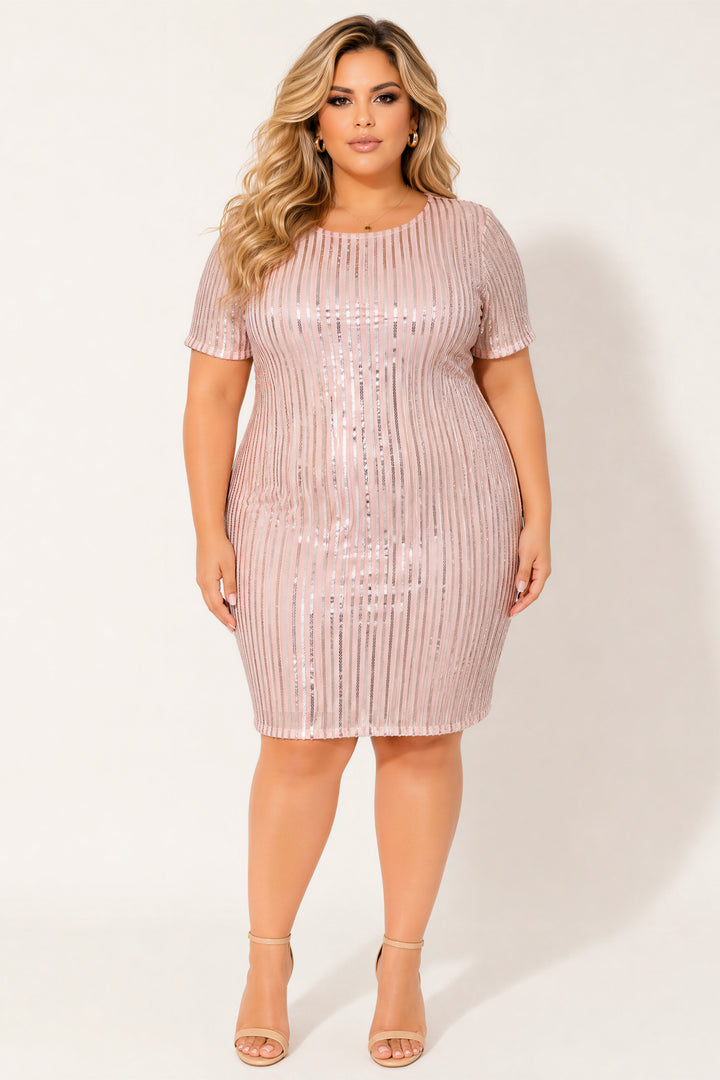 Plus Size Starlight Sequin Dress