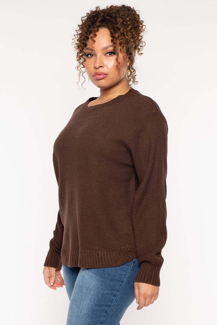 Zenana Sweaters & Cardigans Plus Size Basic Knit  Sweater - Brown