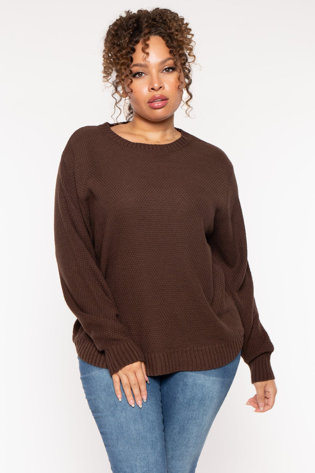 Zenana Sweaters & Cardigans Plus Size Basic Knit  Sweater - Brown