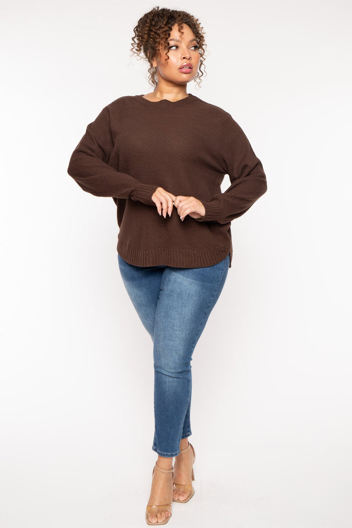 Zenana Sweaters & Cardigans Plus Size Basic Knit  Sweater - Brown