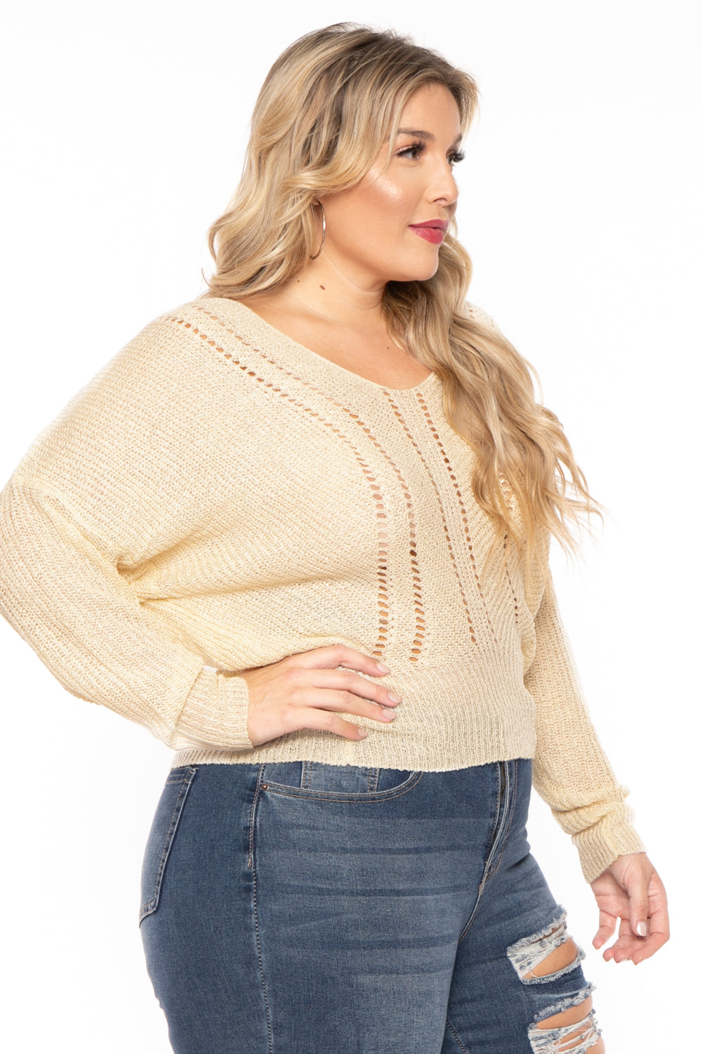 Bluebell Sweaters & Cardigans Plus Size Pointelle Tunic Sweater - Ivory