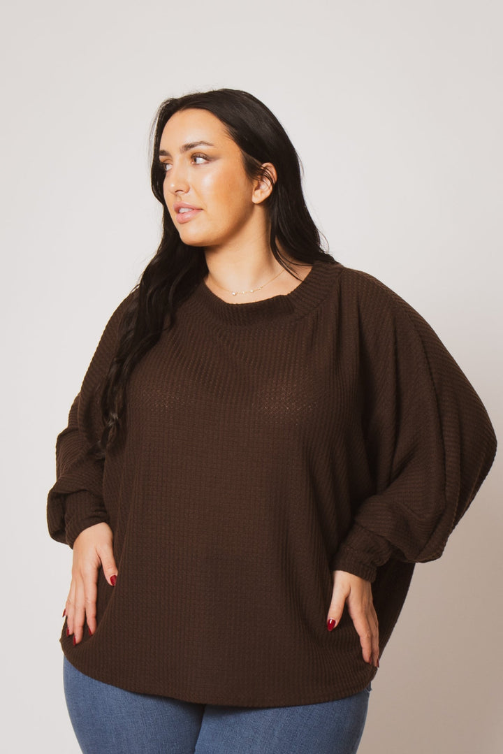 D ROCK Tops Plus Size Harper Off Shoulder Sweater - Brown