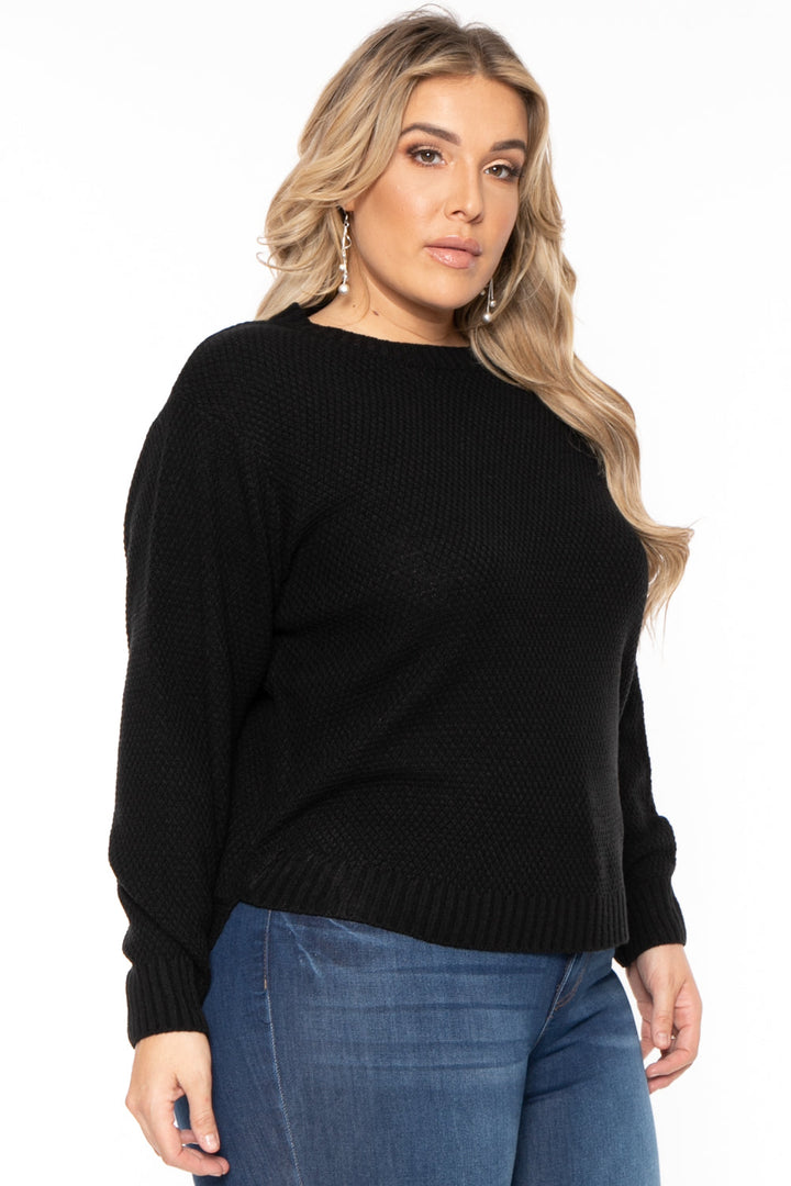 Zenana Sweaters & Cardigans Plus Size Basic Knit  Sweater - Black