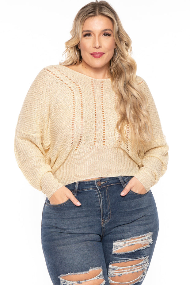 Bluebell Sweaters & Cardigans 1X / Camel Plus Size Pointelle Tunic Sweater - Ivory